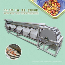 Auotmatic Orange Pomegranate Fruit and Vegetable Sorting Grading Machine